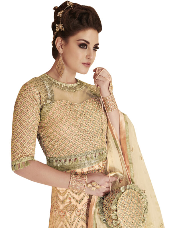 Stylee Lifestyle Peach Net Embroidered Dress Material