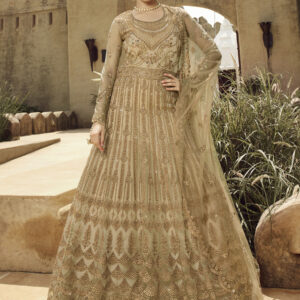 Stylee Lifestyle Beige Net Embroidered Dress Material