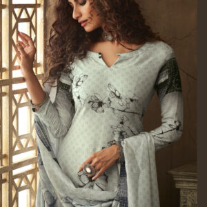 Stylee Lifestyle Grey Pashmina Printed Dress Material