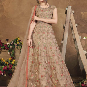 Stylee Lifestyle Beige Net Embroidered Dress Material